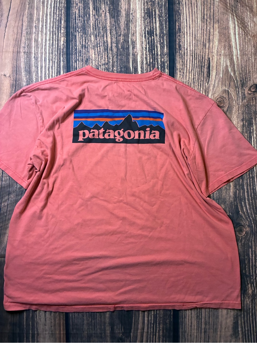 Patagonia Coral-Pink Short Sleeve Logo Tee with Blue Graphic